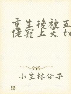 重生后被五个大佬宠上天 txt下载