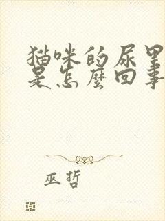 猫咪的尿里有血是怎么回事