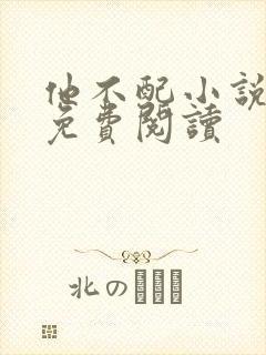 他不配小说全文免费阅读