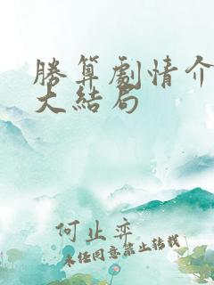 胜算剧情介绍及大结局