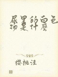 尿里的白色沉淀物是什么