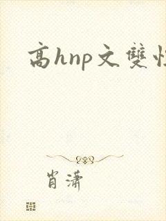 高hnp文双性