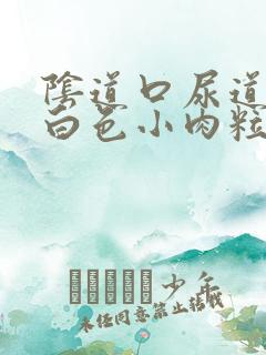 阴道口尿道口长白色小肉粒