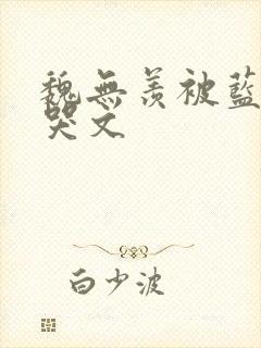 魏无羡被蓝湛打哭文