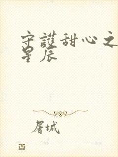 守护甜心之暗夜星辰