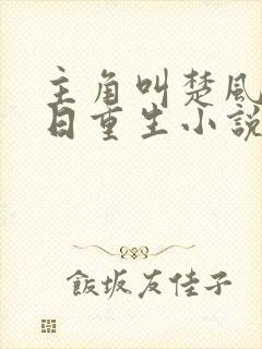 主角叫楚风的末日重生小说