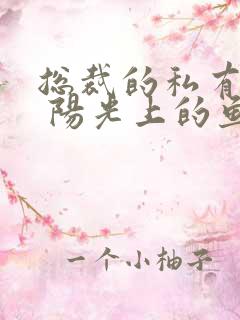 总裁的私有宝贝 阳光上的鱼