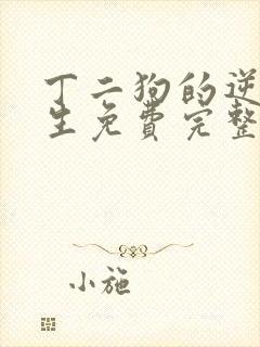 丁二狗的逆袭人生免费完整版