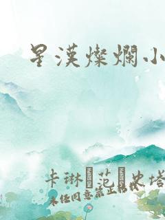 星汉灿烂小说