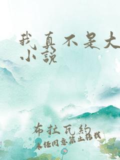 我真不是大佬的小说