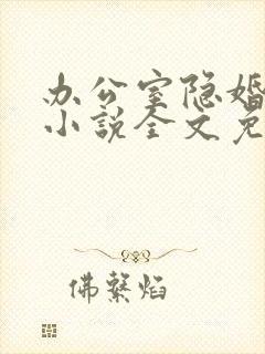 办公室隐婚轻黯小说全文免费读