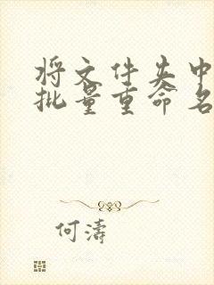 将文件夹中文件批量重命名