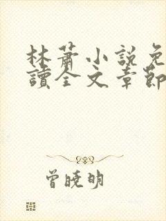 林萧小说免费阅读全文章节