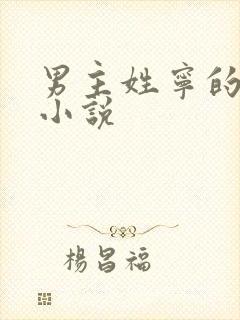 男主姓宁的古代小说