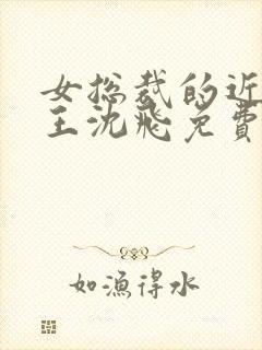 女总裁的近身兵王沈飞免费阅读