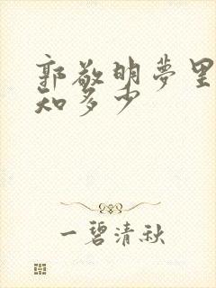 郭敬明梦里花落知多少