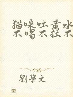 猫咪吐黄水不吃不喝不拉不尿的