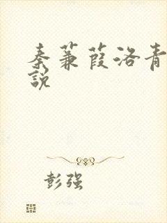 秦蒹葭洛青舟小说
