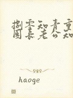 捌零知青重生,团长老公知错了的小说