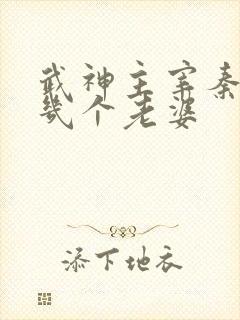 武神主宰秦尘有几个老婆