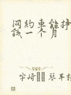 网约车能挣多少钱一个月