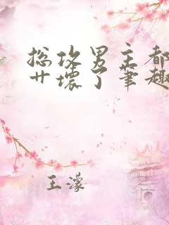 总攻男主都被我艹坏了笔趣阁小说