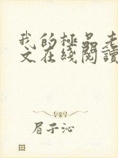 我的极品老婆全文在线阅读