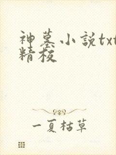 神墓小说txt精校