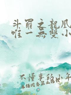 斗罗之龙凰传说唯一无双小说