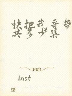 快把我哥带走一共多少集