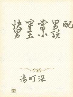 快穿当男配掰弯男主小说