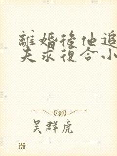 离婚后他追着前夫求复合小说