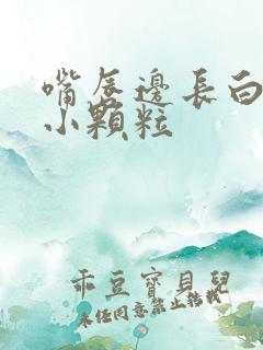 嘴唇边长白色的小颗粒