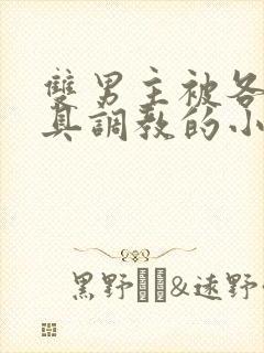 双男主被各种道具调教的小说