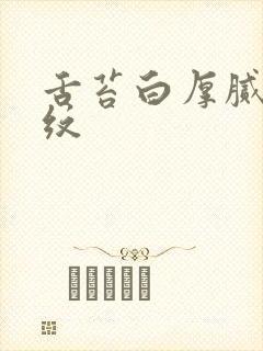 舌苔白厚腻有裂纹