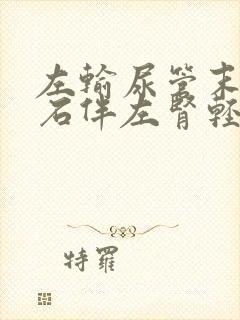 左输尿管末端结石伴左肾轻度积水