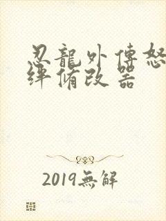 忍龙外传怒之羁绊修改器