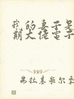 我的妻子是大乘期大佬电子书免费阅读