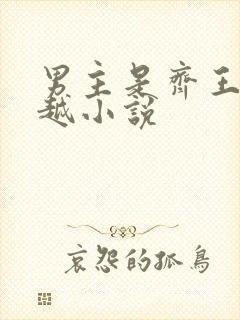 男主是齐王的穿越小说