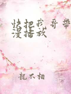 快把我哥带走动漫播放