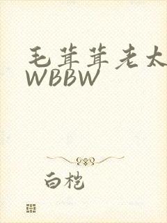 毛茸茸老太BBWBBW