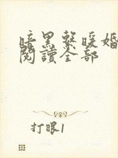 暗黑系暖婚小说阅读全部