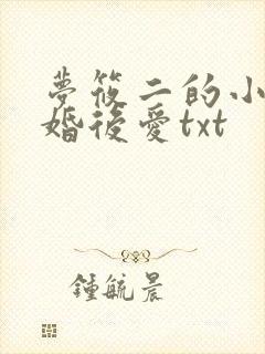 梦筱二的小说先婚后爱txt