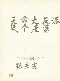 天命大反派女主几个老婆