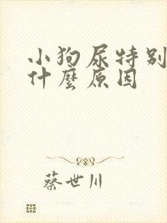 小狗尿特别黄是什么原因