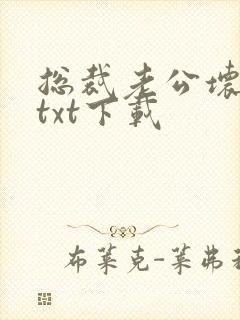 总裁老公坏又甜txt下载