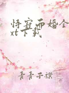 恃宠而婚全文txt下载