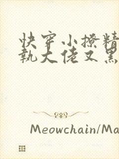 快穿小撩精:偏执大佬又黑化了小说