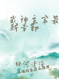 武神主宰最新更新章节