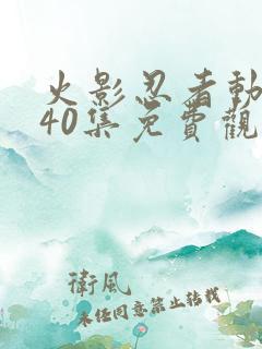 火影忍者动漫剧40集免费观看